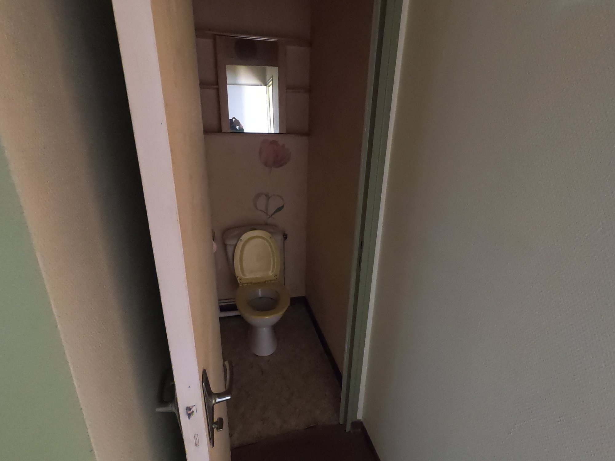Toilettes à rénover
